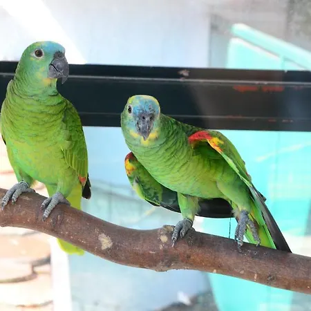 Kofflers-heuriger Ettlingen